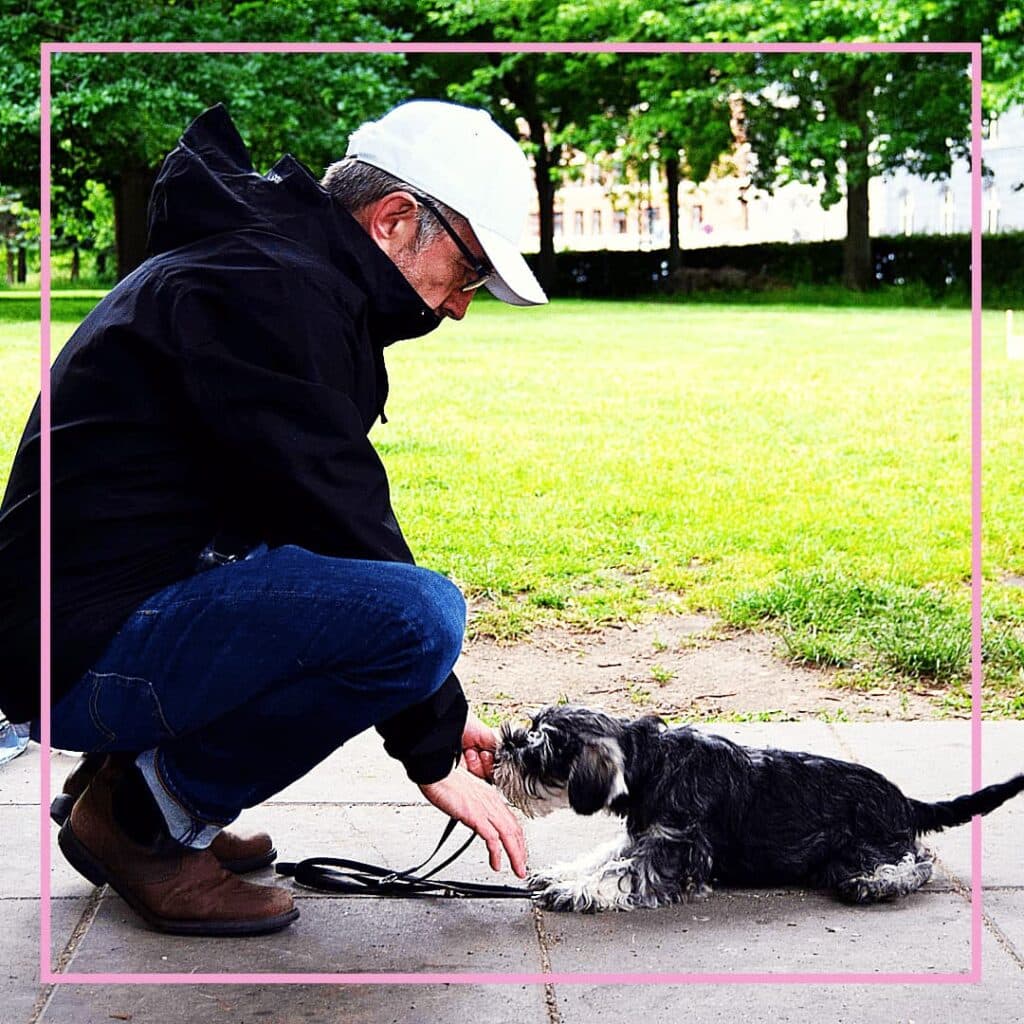 n deltager i hundetræning hos Klub Hund sidder på et tæppe i parken og træner en lille gravhundehvalp. Hunden får en godbid direkte fra hånden som belønning, mens den sidder pænt foran ejeren. Træningen foregår roligt og understøtter positiv indlæring og kontakt mellem hund og ejer.
