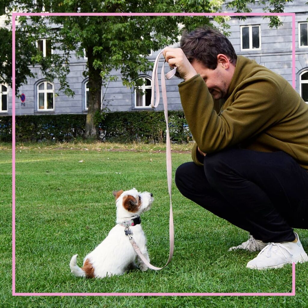 En hund sidder koncentreret foran sin ejer under hundetræning med Klub Hund, mens træneren giver vejledning. Billedet viser samarbejde, læring og den støtte, Klub Hund giver hundeejere i deres træning.