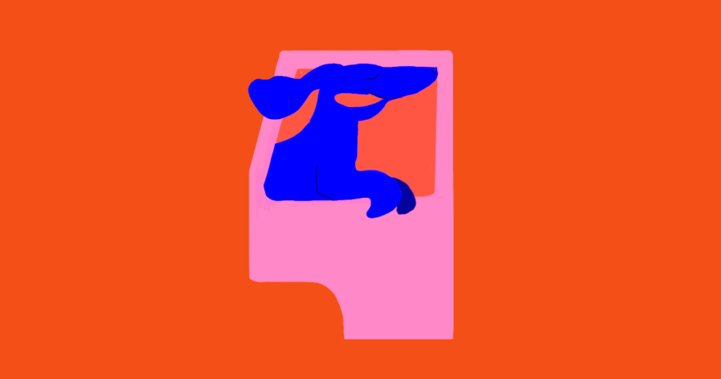 Grafik af en hund som sidder med hovedet ud af en bilrude. Det er grafikken til blogindlægget Sådan tager du hunden med i offentlig transport eller bil.
