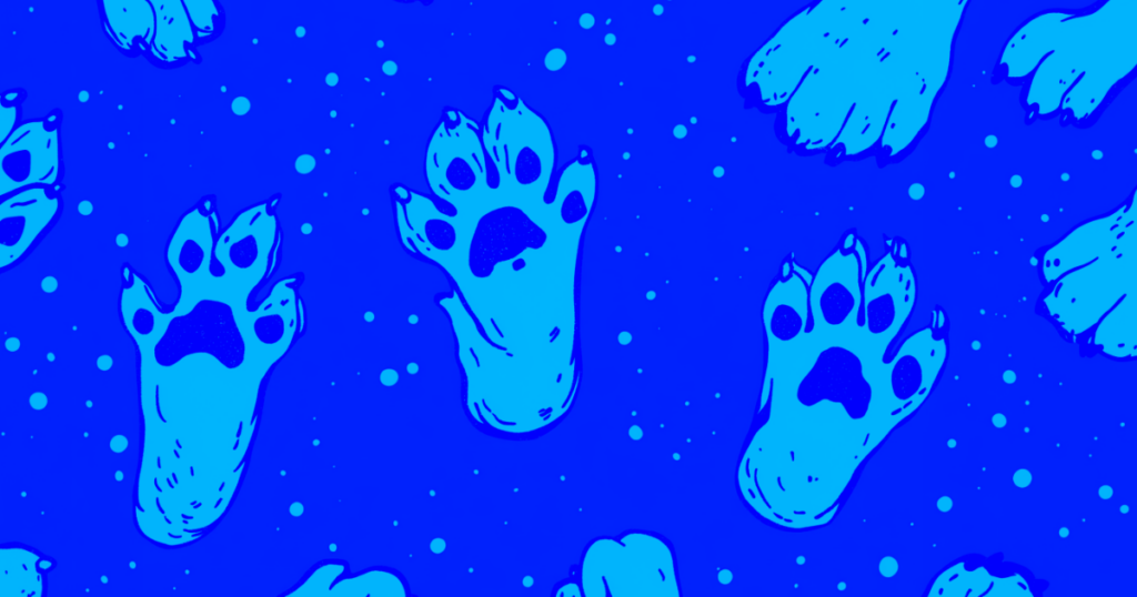 En grafik af en masse poter der går i sneen. Det omhandler hvordan man kan holde sin hund sikker om vinteren ved f.eks. snesko, potepleje og refleksveste.