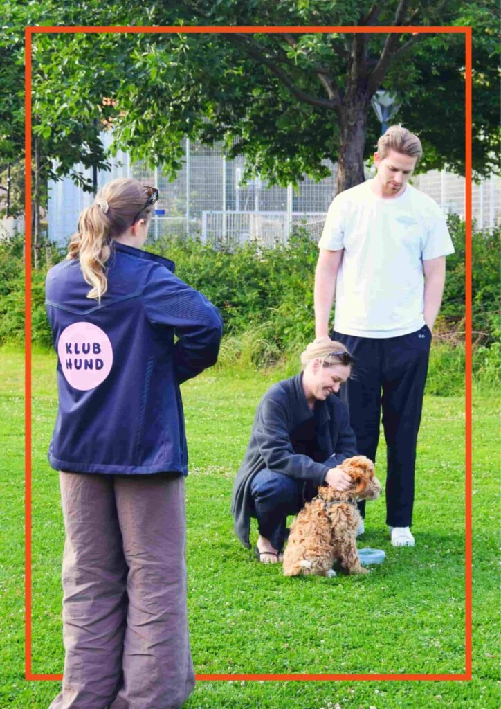 Hundetræner fra Klub Hund vejleder to hundeejere i parken, mens de træner med en lille brun krøllet hund.