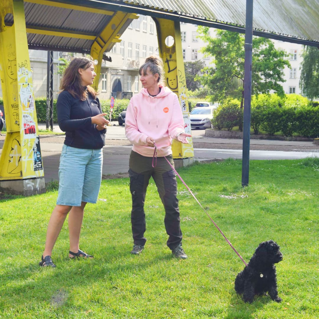 Hundetræning i parken med Klub Hund. En hundeejer sidder på knæ foran sin sorte hundehvalp og træner kontakt med en godbid, mens en hundetræner fra Klub Hund følger med og guider. Situationen viser positiv træning, hvor samarbejde og belønning er i fokus.