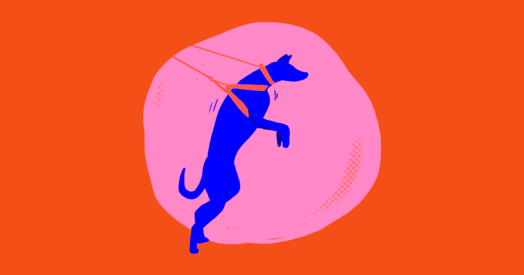 Grafik af en hund der står på bagben og trækker i sin sele og sit halsbånd. Det er grafikken til blogindlægget halsbånd eller sele: fordele og ulemper?