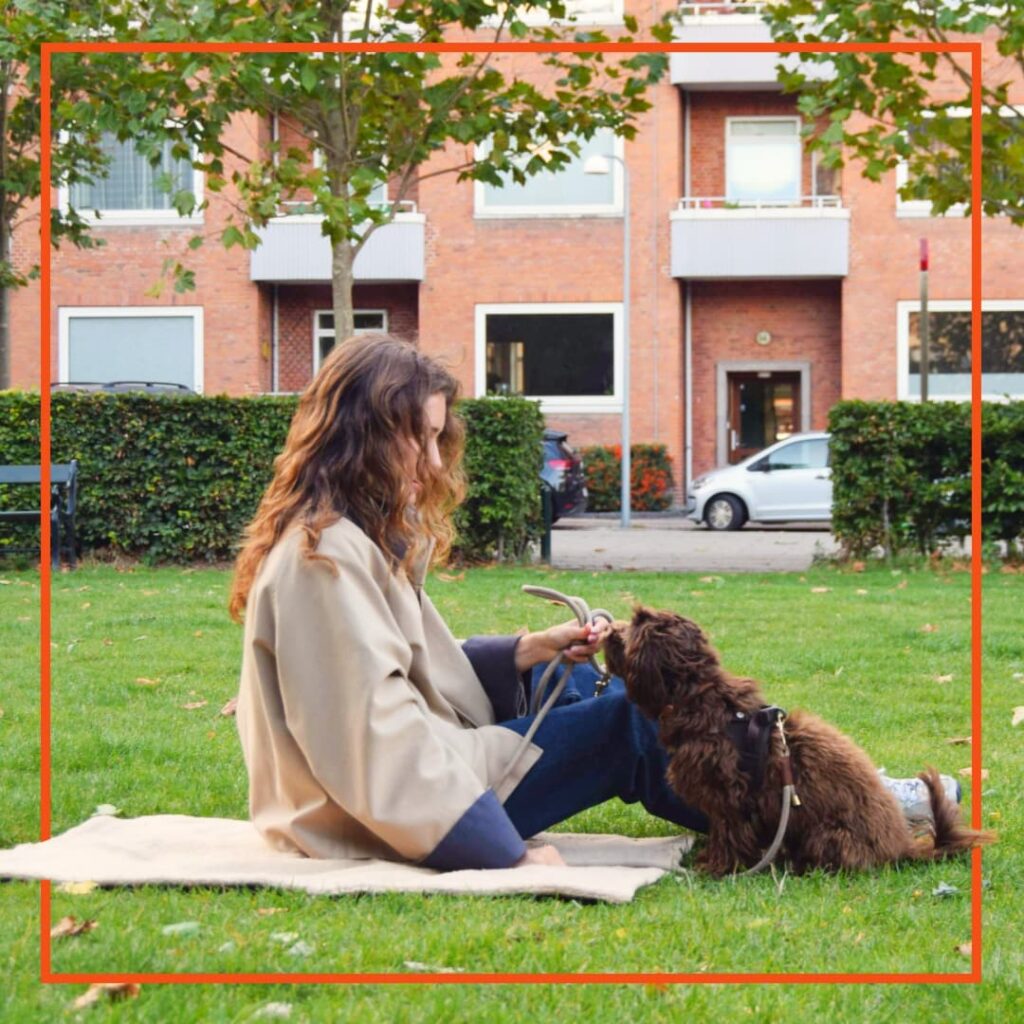 Kvinde sidder med sin hund og træner i en park, til hundetræning med klub hund.